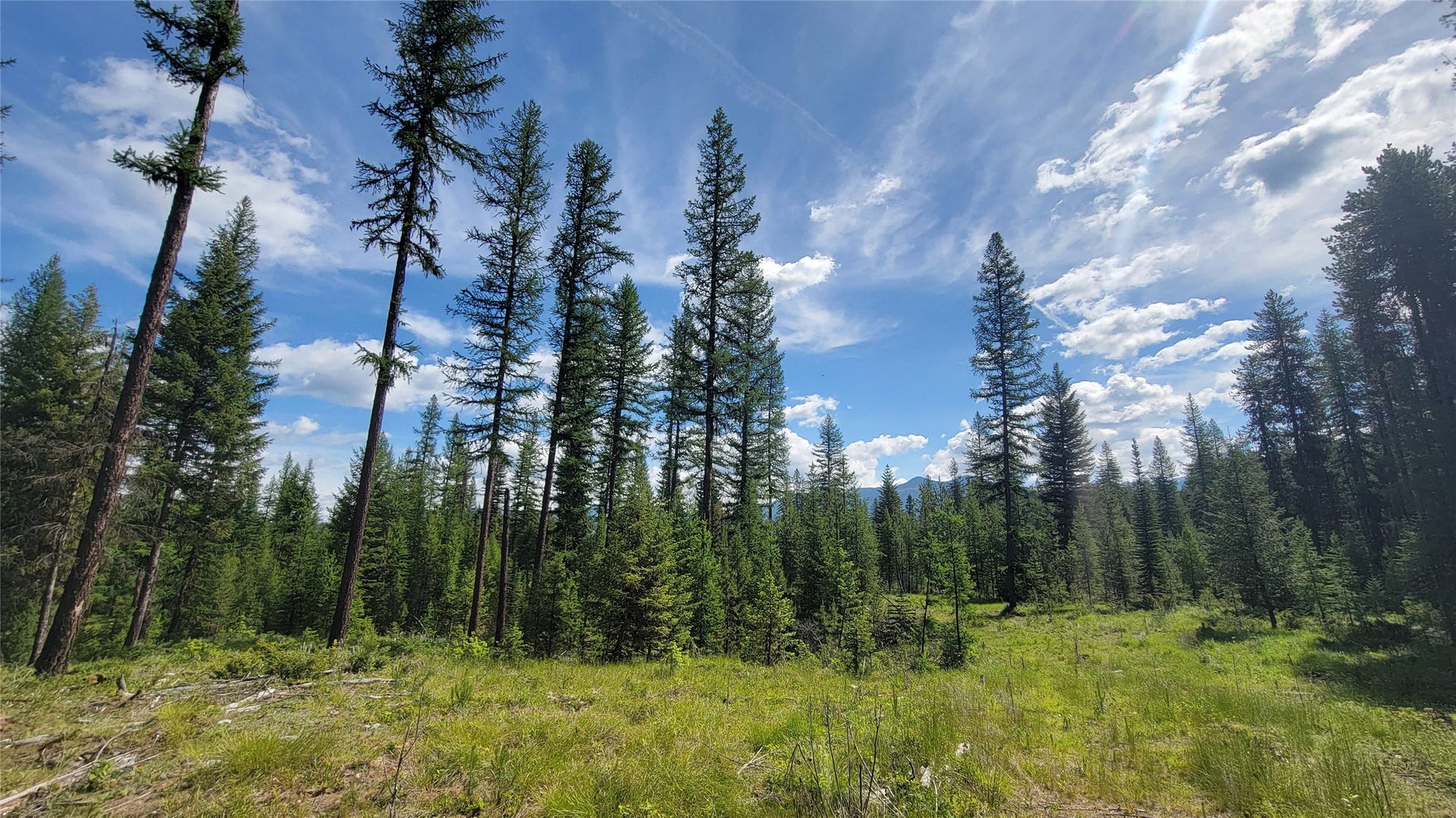 34477 Shay Lake Road, Bigfork, MT 59911 34477 Shay Lake Road, Bigfork, MT 59911