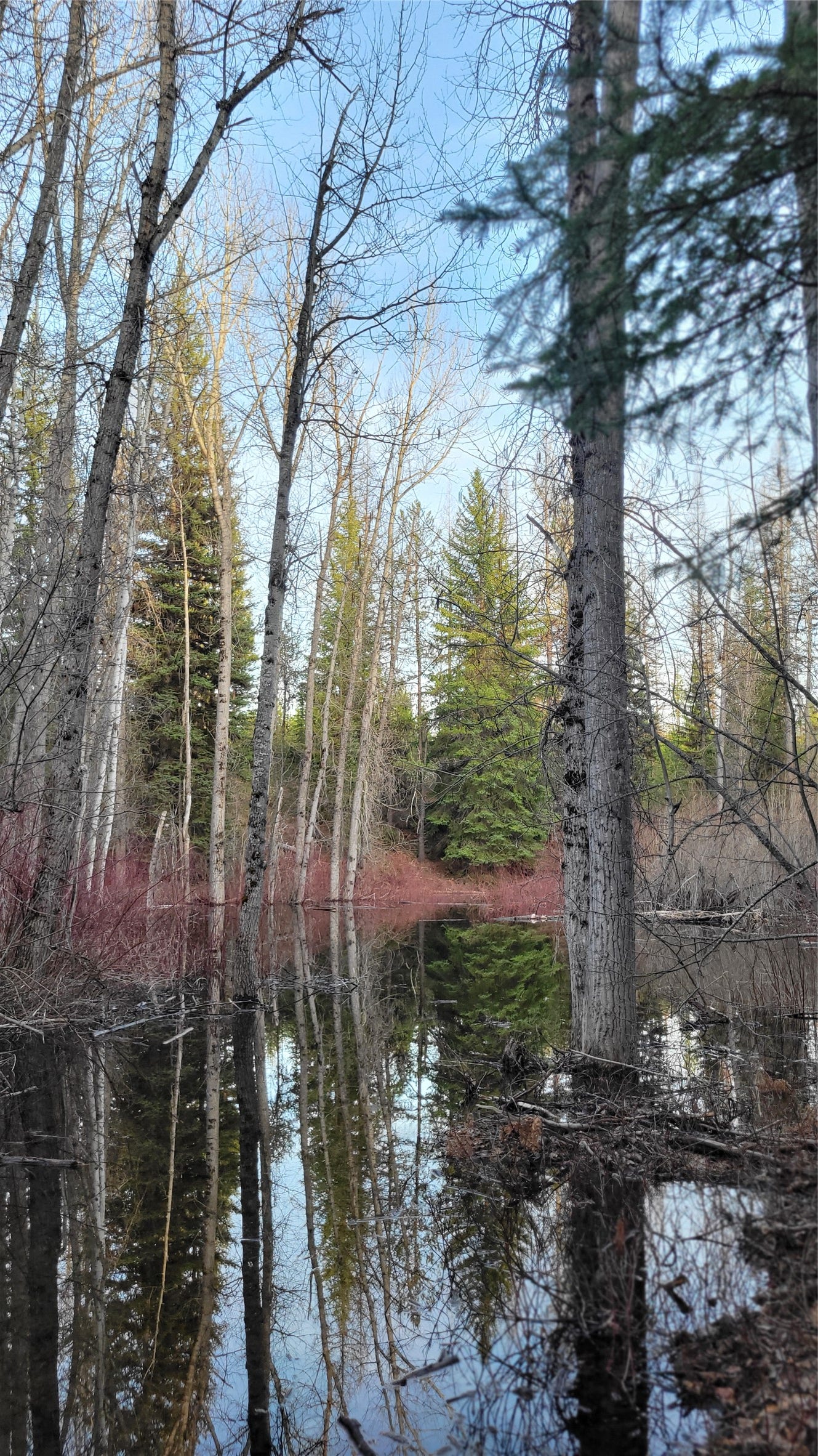 34477 Shay Lake Road, Bigfork, MT 59911 34477 Shay Lake Road, Bigfork, MT 59911
