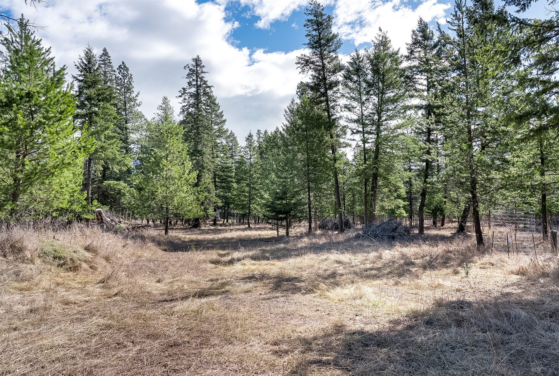 7 Trinkus Lane, Bigfork, MT 59911 7 Trinkus Lane, Bigfork, MT 59911