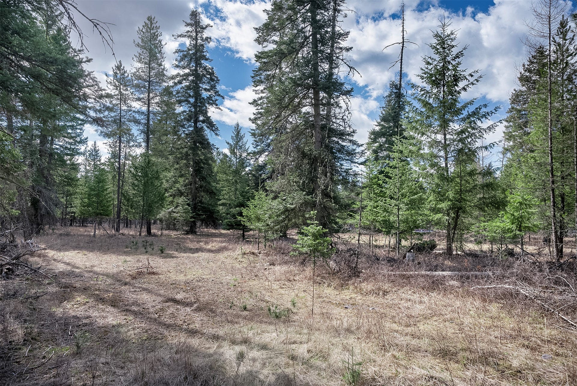 7 Trinkus Lane, Bigfork, MT 59911 7 Trinkus Lane, Bigfork, MT 59911