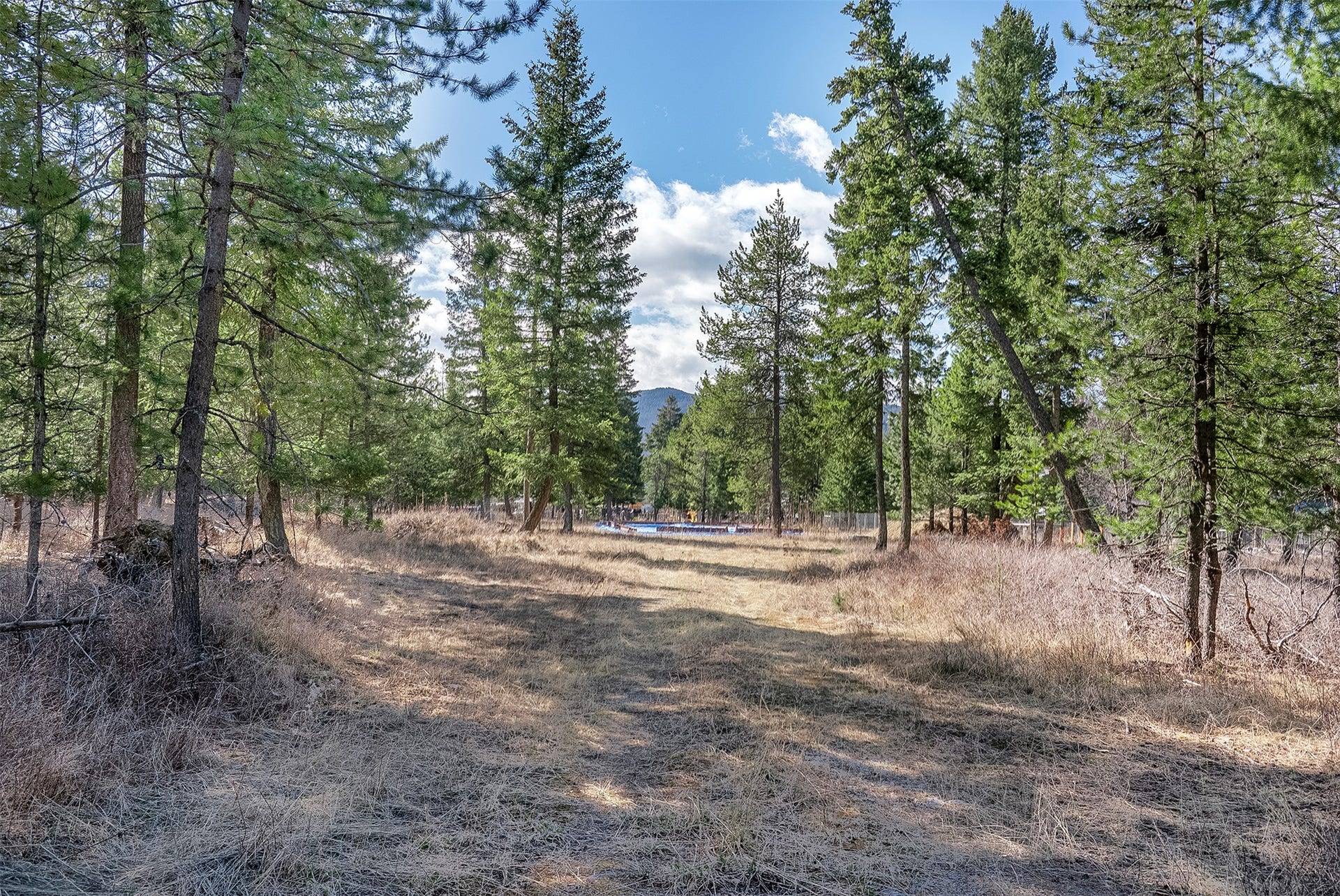 7 Trinkus Lane, Bigfork, MT 59911 7 Trinkus Lane, Bigfork, MT 59911