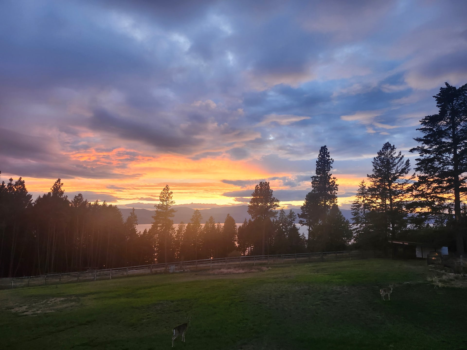 33676 Hilltop Terrace, Bigfork, MT 59911 33676 Hilltop Terrace, Bigfork, MT 59911