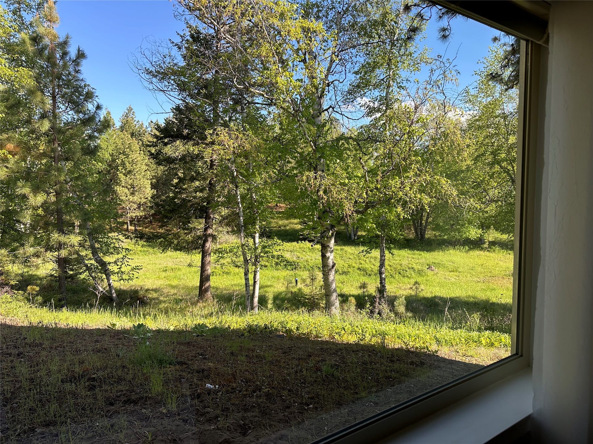110 Conifer Lane, Bigfork, MT 59911 110 Conifer Lane, Bigfork, MT 59911