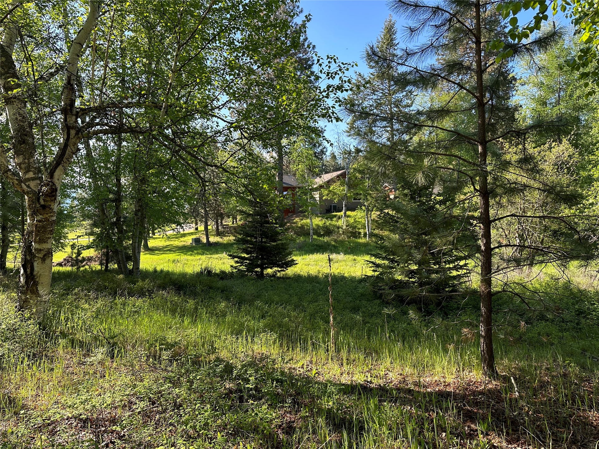 110 Conifer Lane, Bigfork, MT 59911 110 Conifer Lane, Bigfork, MT 59911