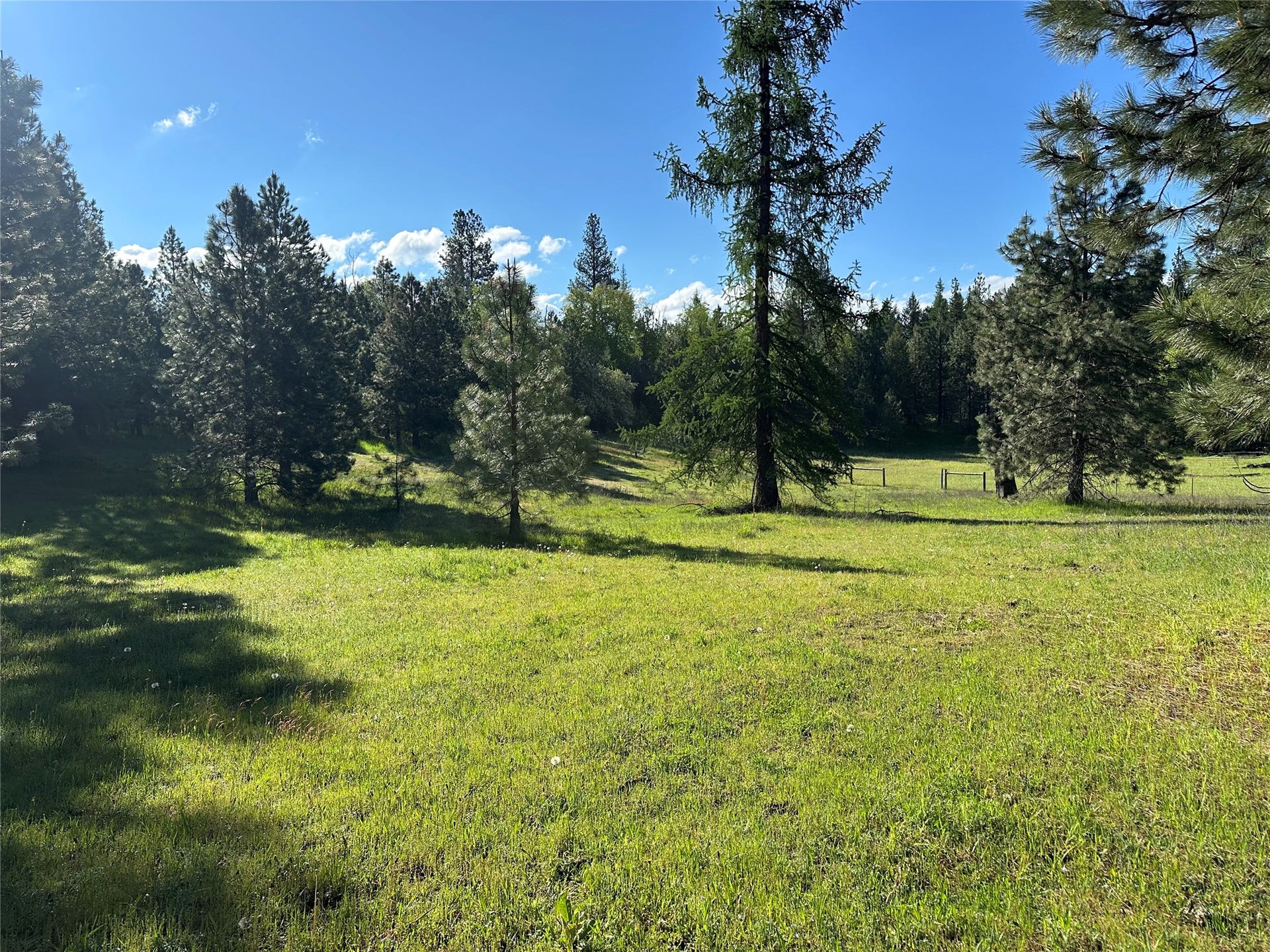 110 Conifer Lane, Bigfork, MT 59911 110 Conifer Lane, Bigfork, MT 59911