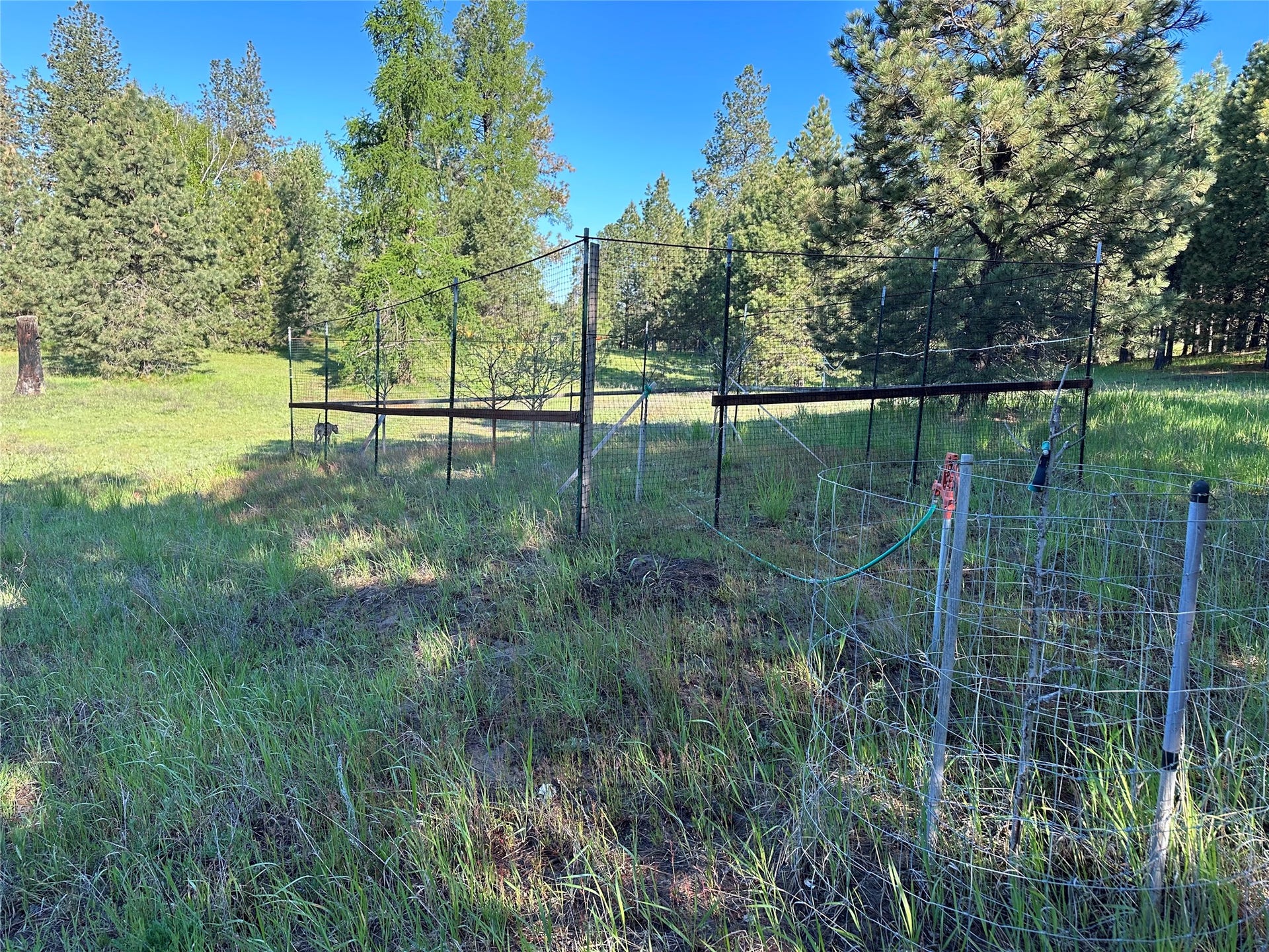 110 Conifer Lane, Bigfork, MT 59911 110 Conifer Lane, Bigfork, MT 59911
