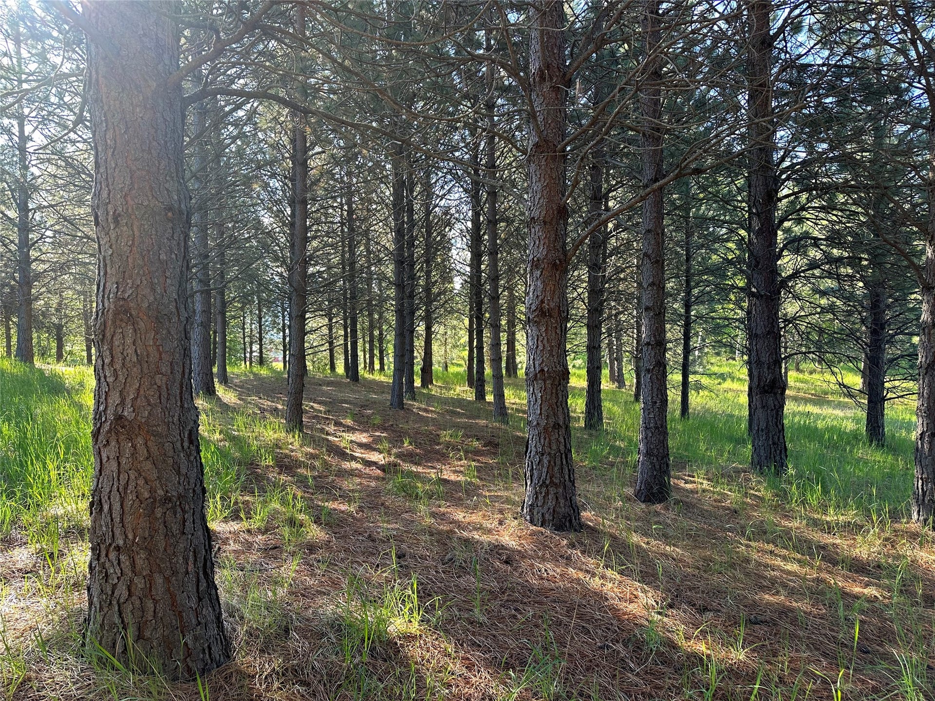 110 Conifer Lane, Bigfork, MT 59911 110 Conifer Lane, Bigfork, MT 59911