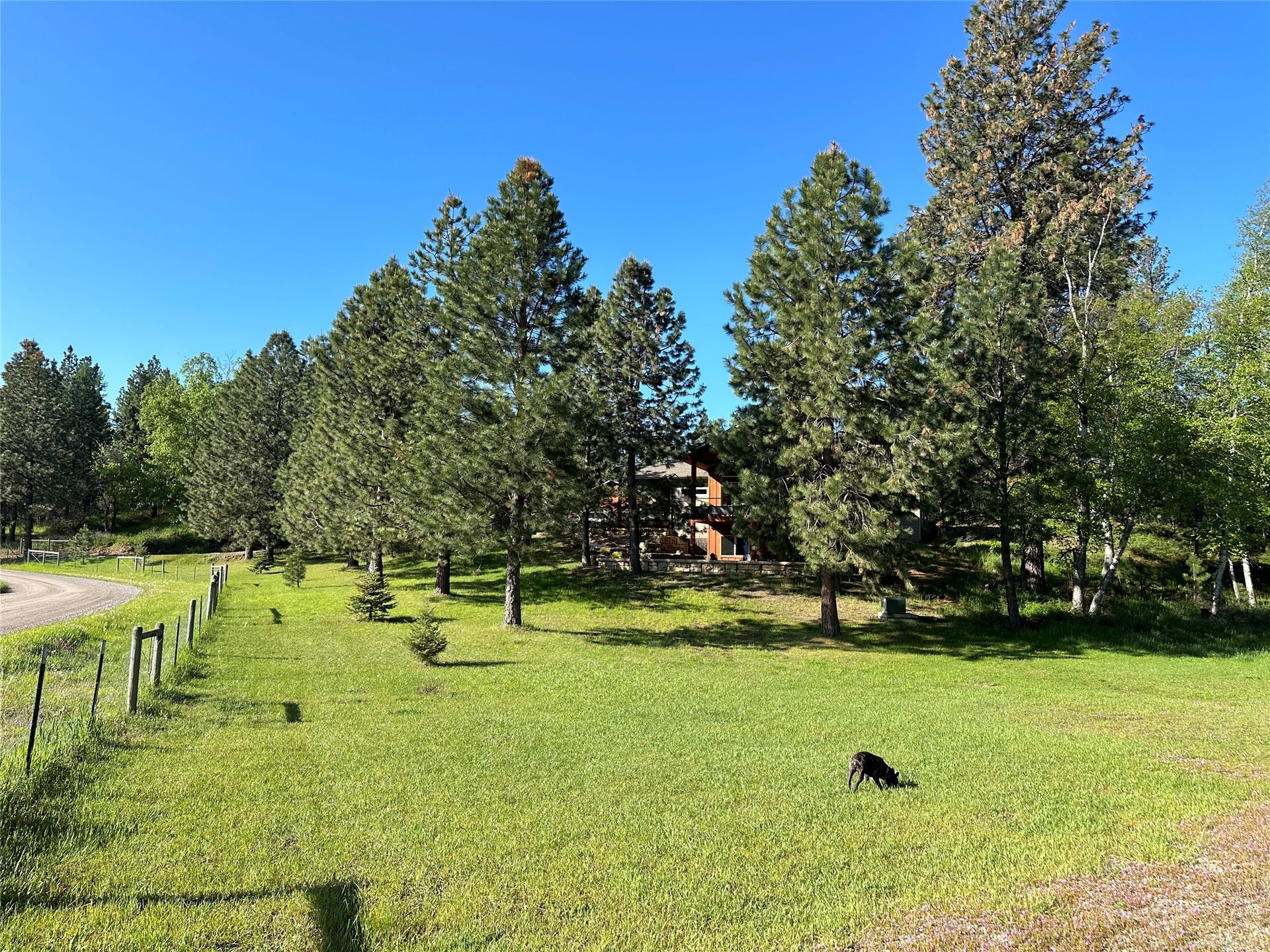 110 Conifer Lane, Bigfork, MT 59911 110 Conifer Lane, Bigfork, MT 59911
