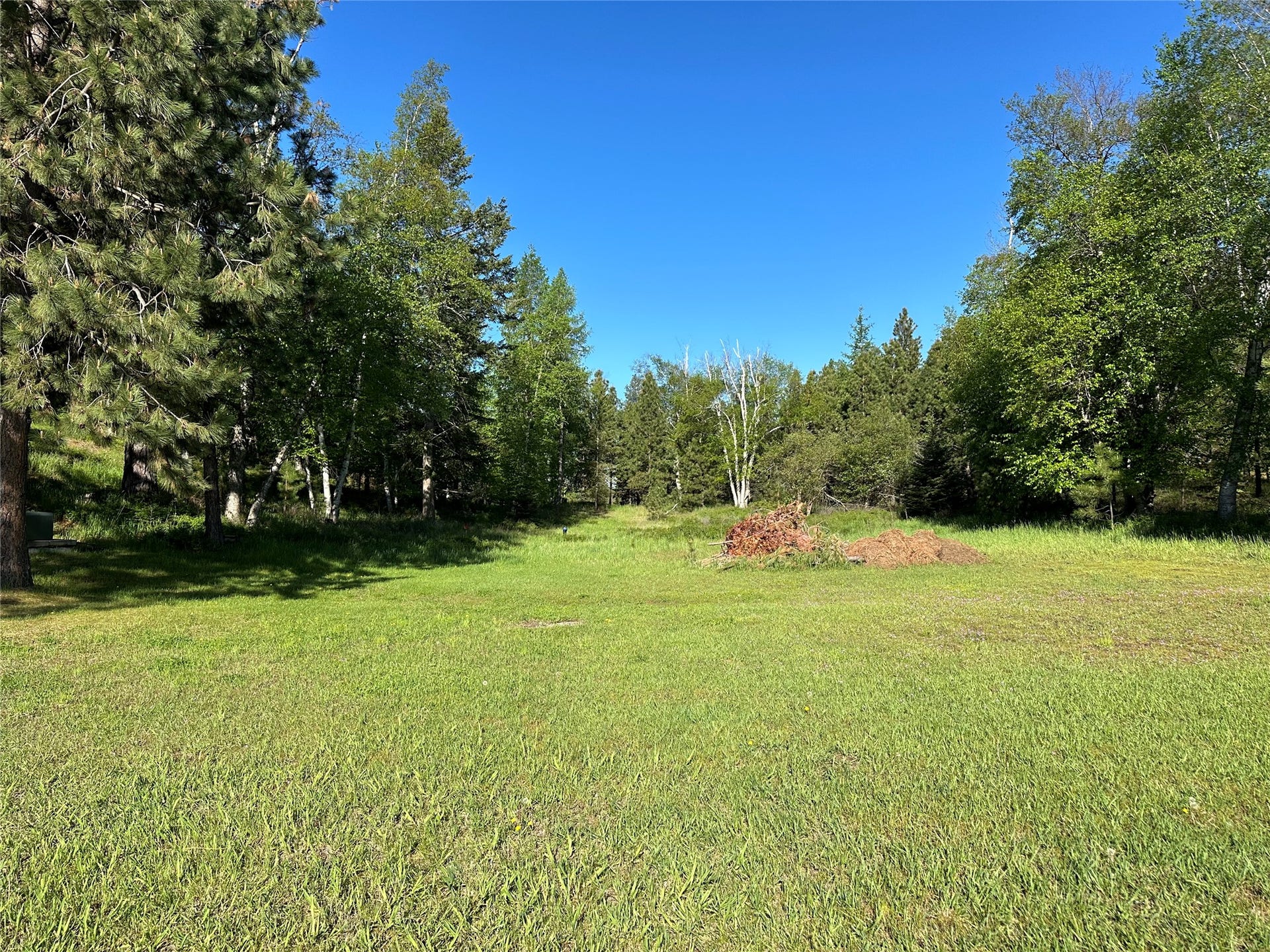 110 Conifer Lane, Bigfork, MT 59911 110 Conifer Lane, Bigfork, MT 59911
