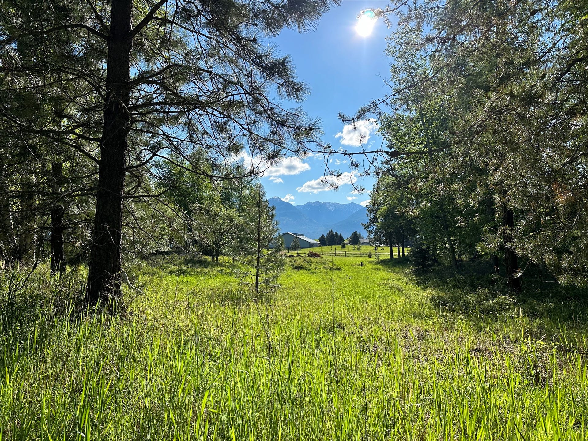 110 Conifer Lane, Bigfork, MT 59911 110 Conifer Lane, Bigfork, MT 59911