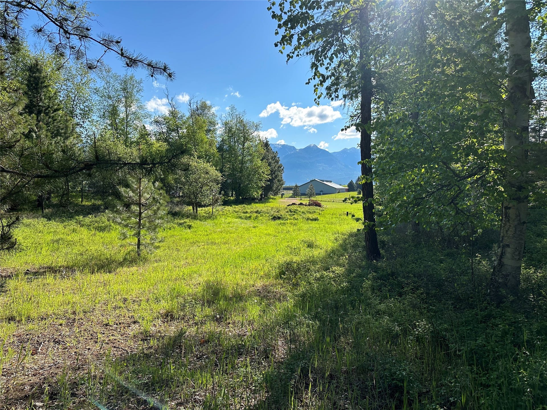 110 Conifer Lane, Bigfork, MT 59911 110 Conifer Lane, Bigfork, MT 59911