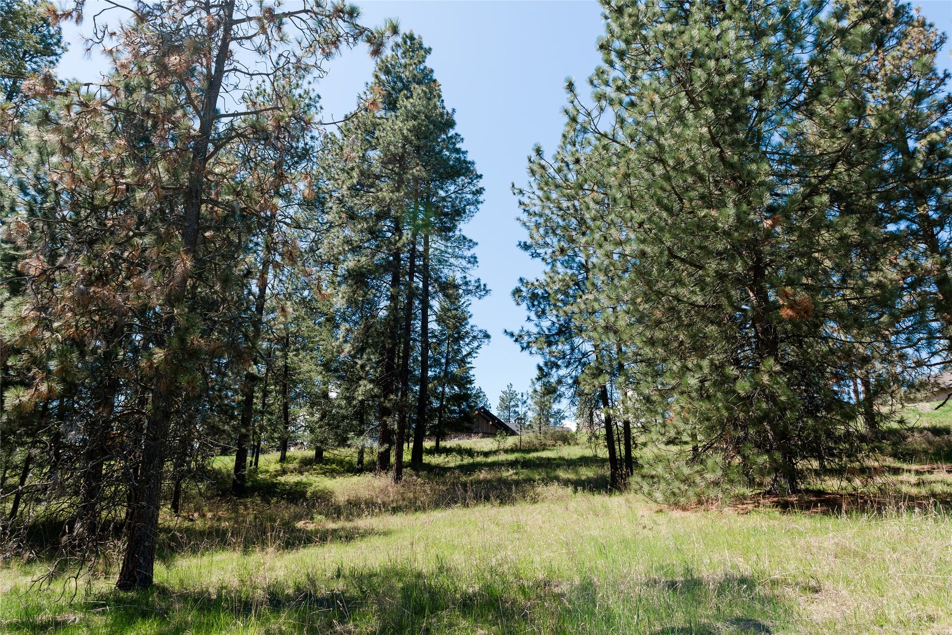 37 Red Tail Ridge, Bigfork, MT 59911 37 Red Tail Ridge, Bigfork, MT 59911