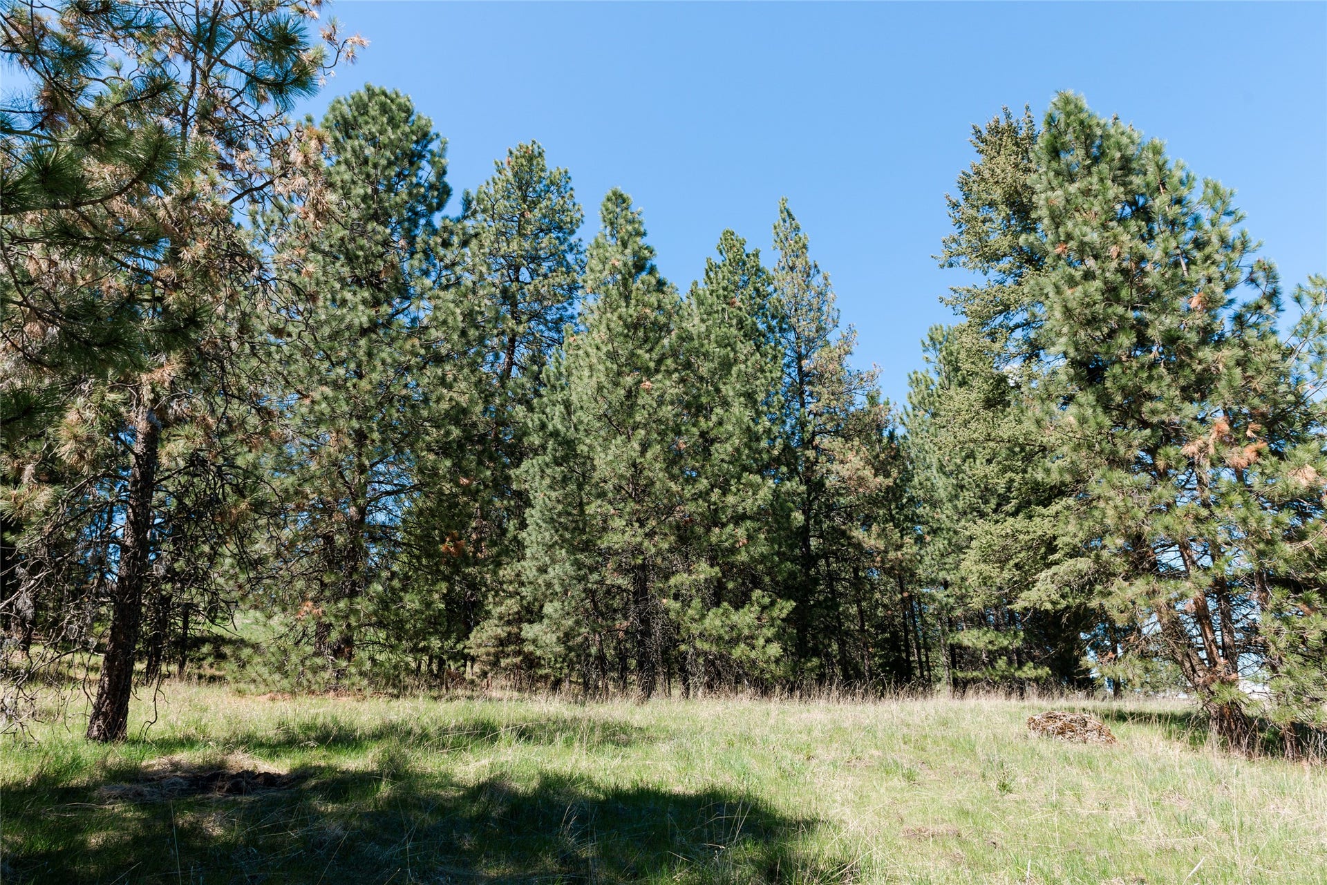 37 Red Tail Ridge, Bigfork, MT 59911 37 Red Tail Ridge, Bigfork, MT 59911