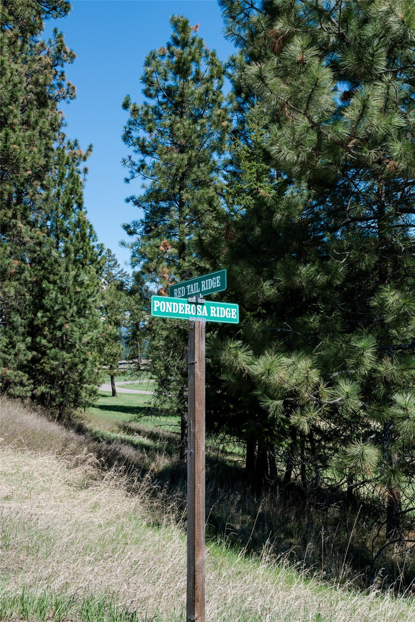 37 Red Tail Ridge, Bigfork, MT 59911 37 Red Tail Ridge, Bigfork, MT 59911