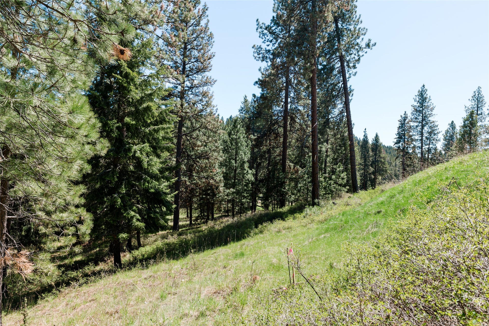 37 Red Tail Ridge, Bigfork, MT 59911 37 Red Tail Ridge, Bigfork, MT 59911