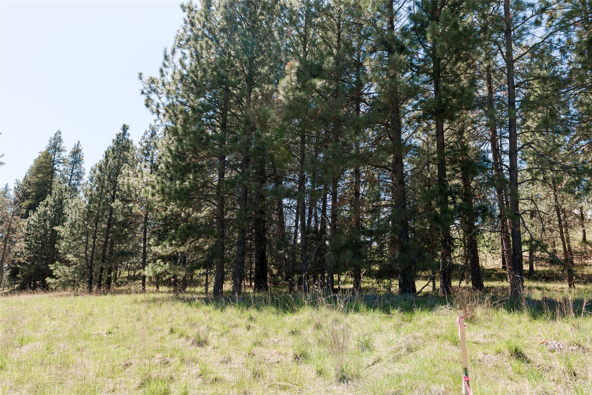 37 Red Tail Ridge, Bigfork, MT 59911 37 Red Tail Ridge, Bigfork, MT 59911