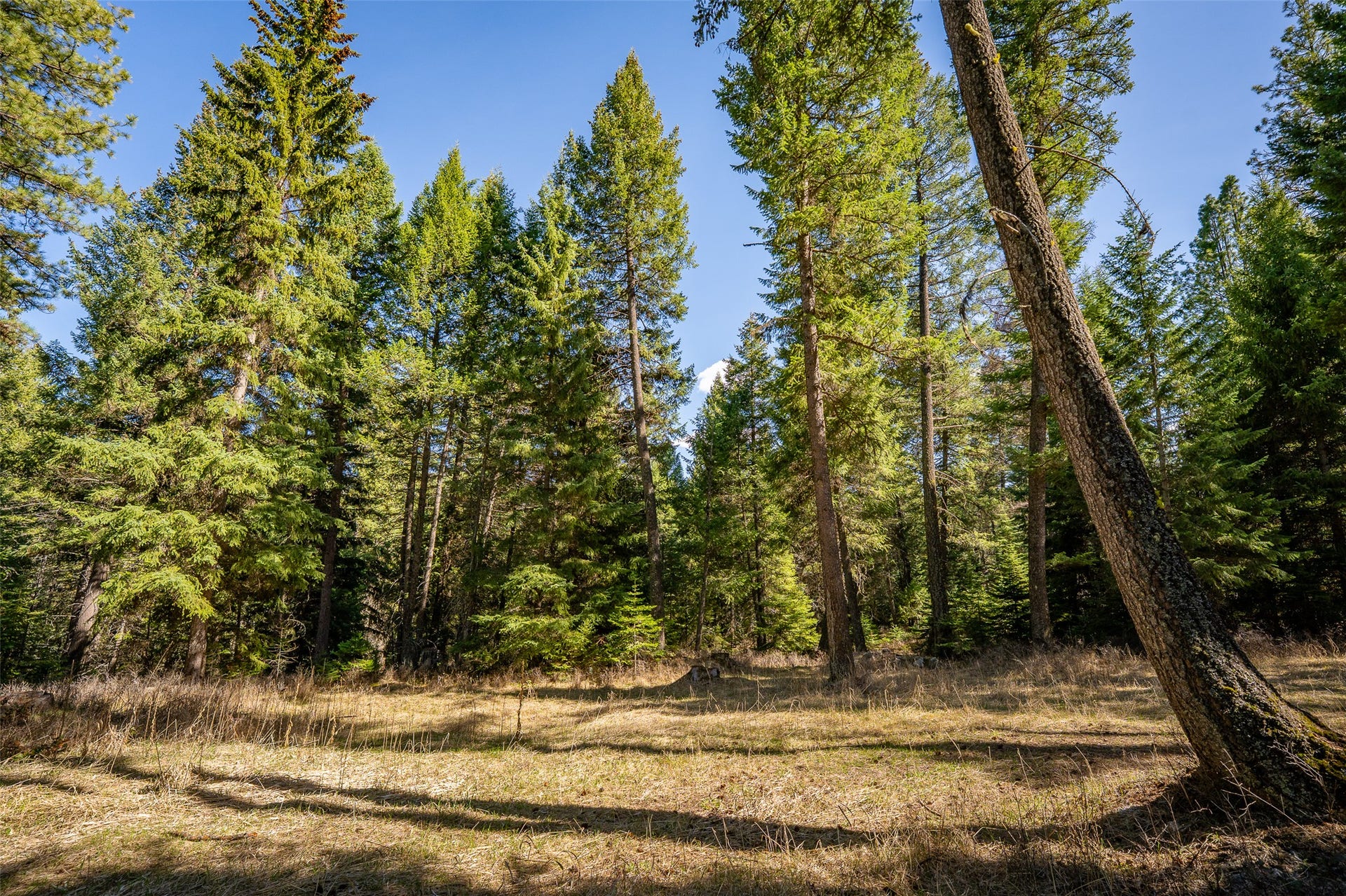 1760 Browns Meadow Road, Kila, MT 59920