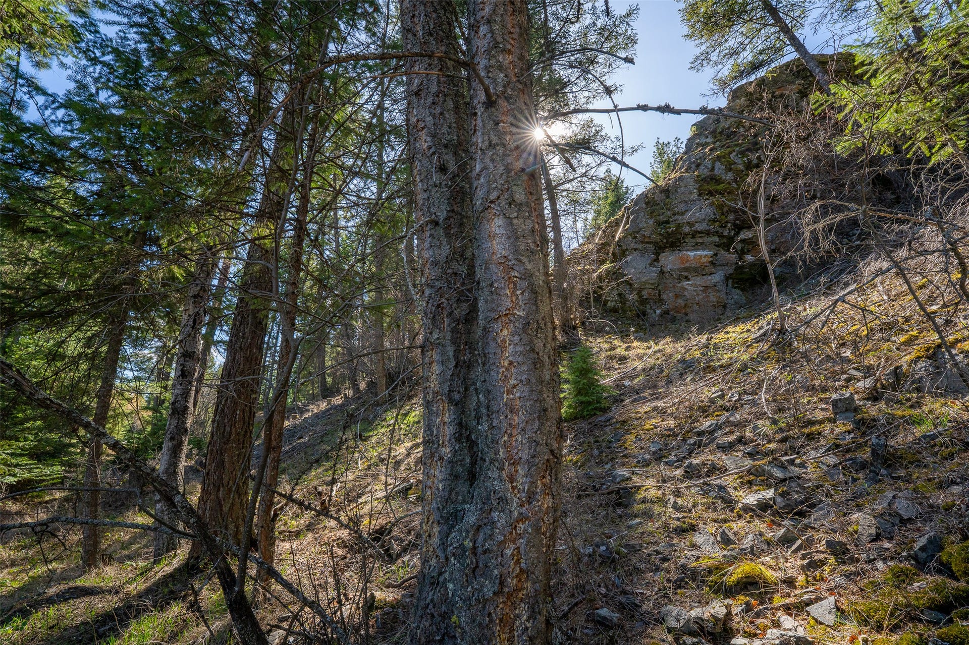 1760 Browns Meadow Road, Kila, MT 59920