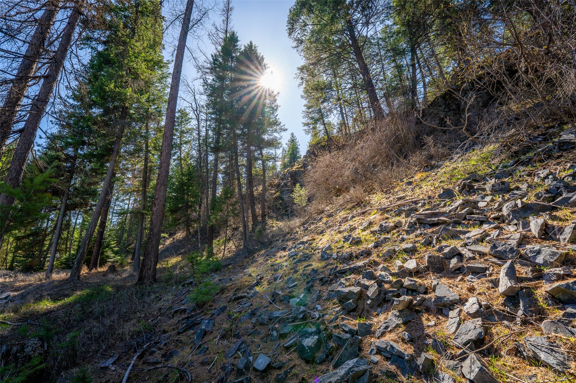 1760 Browns Meadow Road, Kila, MT 59920