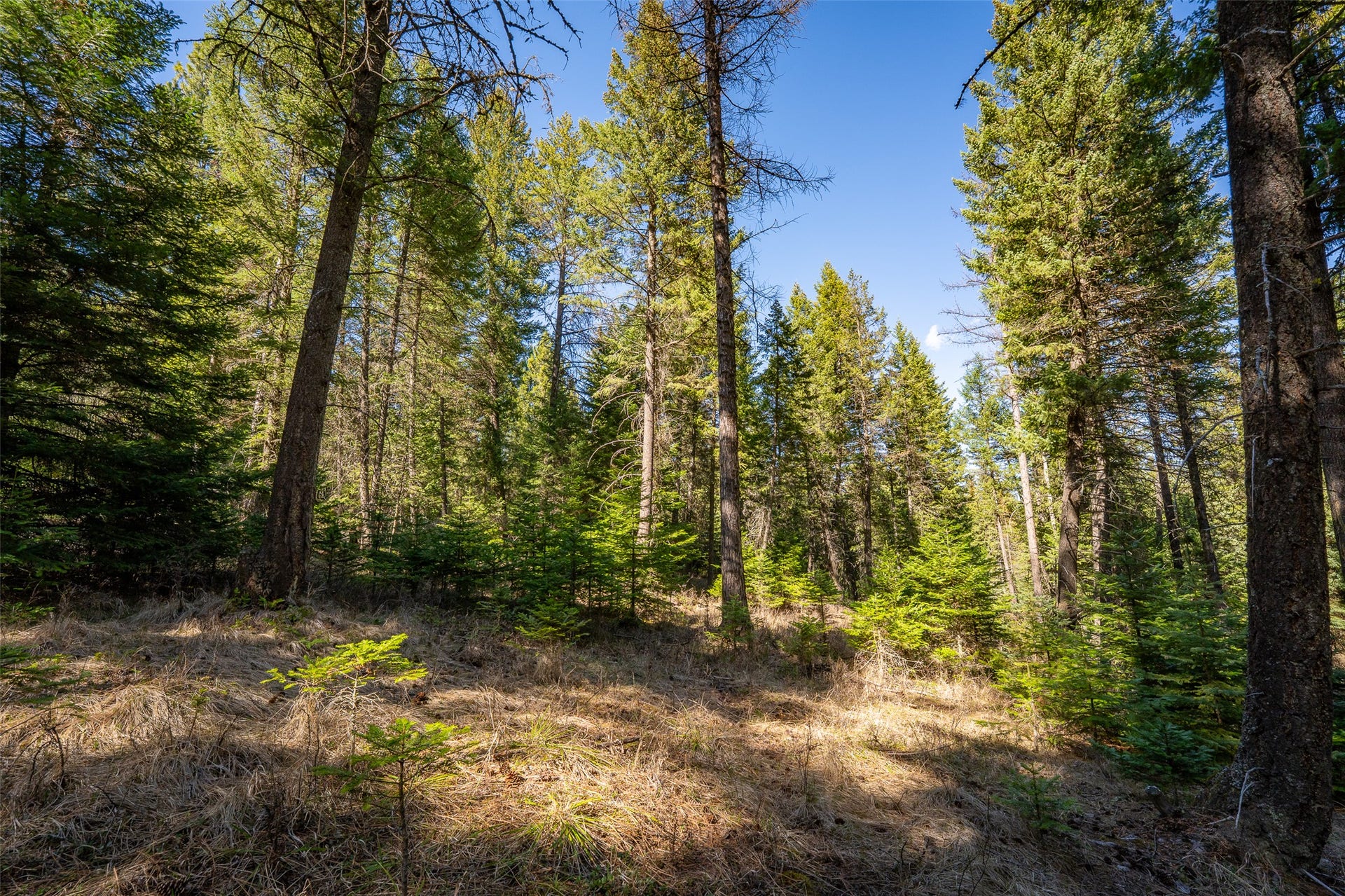 1760 Browns Meadow Road, Kila, MT 59920