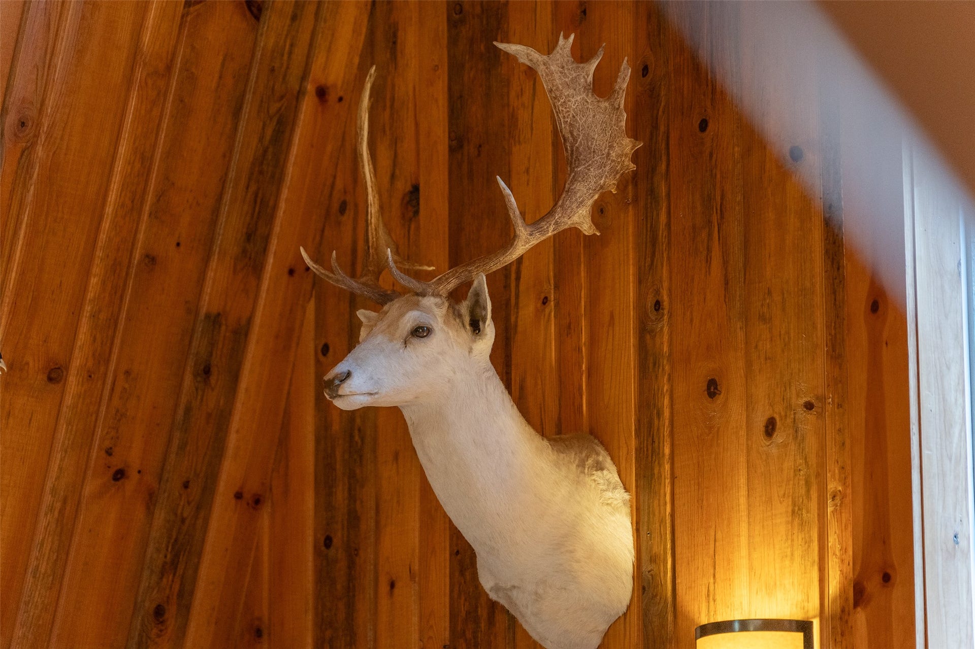 1760 Browns Meadow Road, Kila, MT 59920