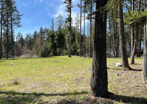 13962 Pine Street, Bigfork, MT 59911 13962 Pine Street, Bigfork, MT 59911