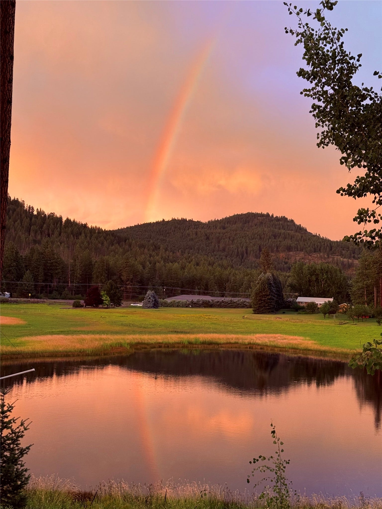 33608 Hilltop Terrace, Bigfork, MT 59911 33608 Hilltop Terrace, Bigfork, MT 59911