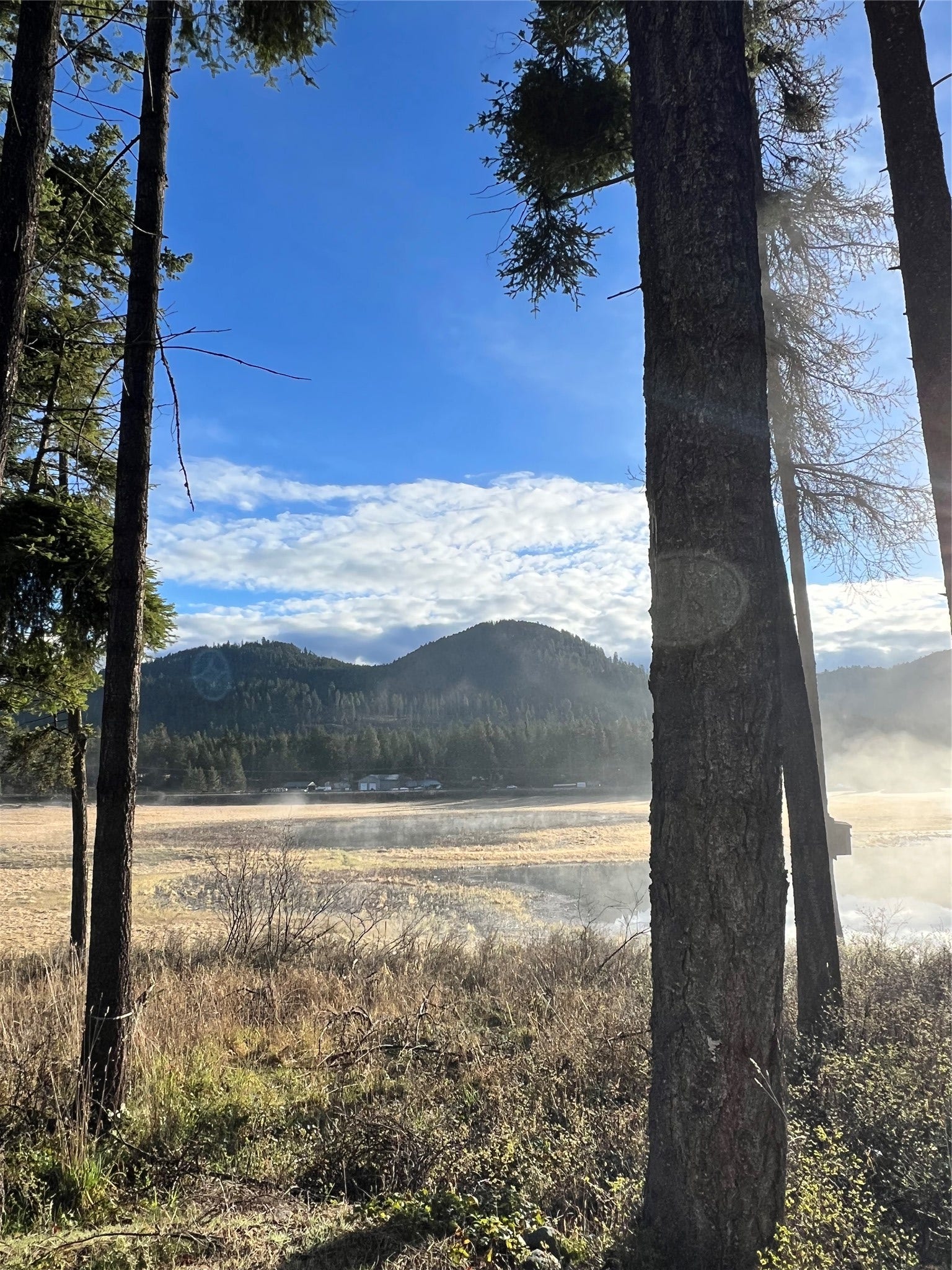 33608 Hilltop Terrace, Bigfork, MT 59911 33608 Hilltop Terrace, Bigfork, MT 59911
