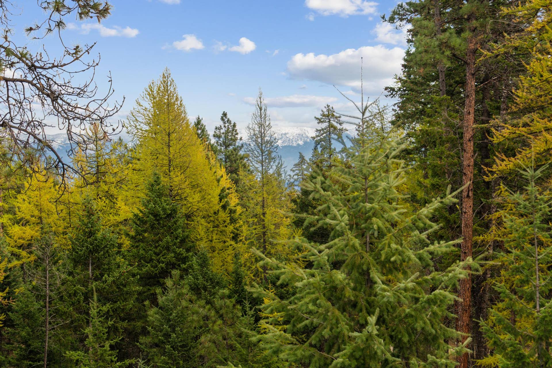465 Deer Creek Road, Lakeside, MT