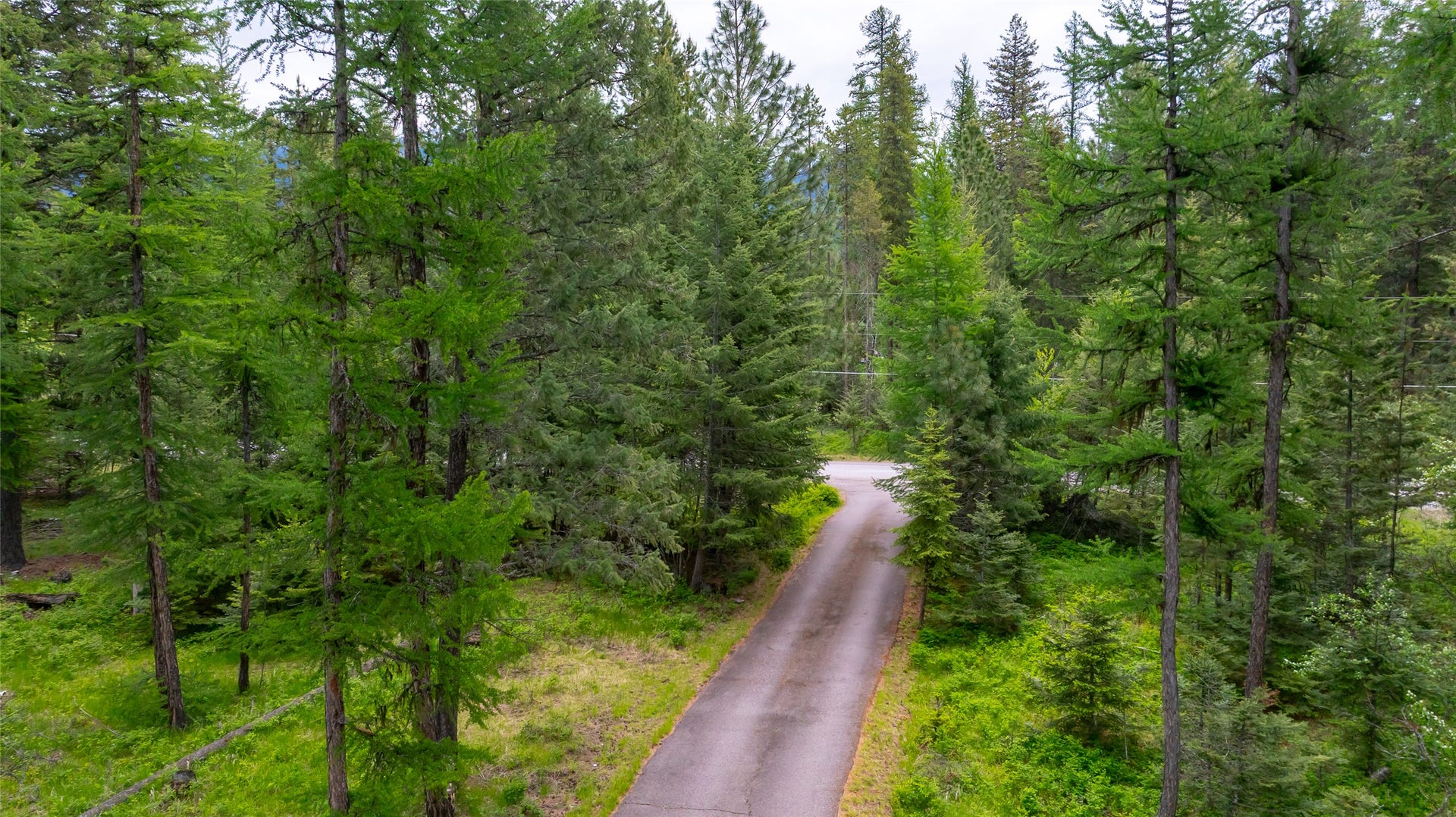13033 Trinkus Lane, Bigfork, MT 59911 13033 Trinkus Lane, Bigfork, MT 59911