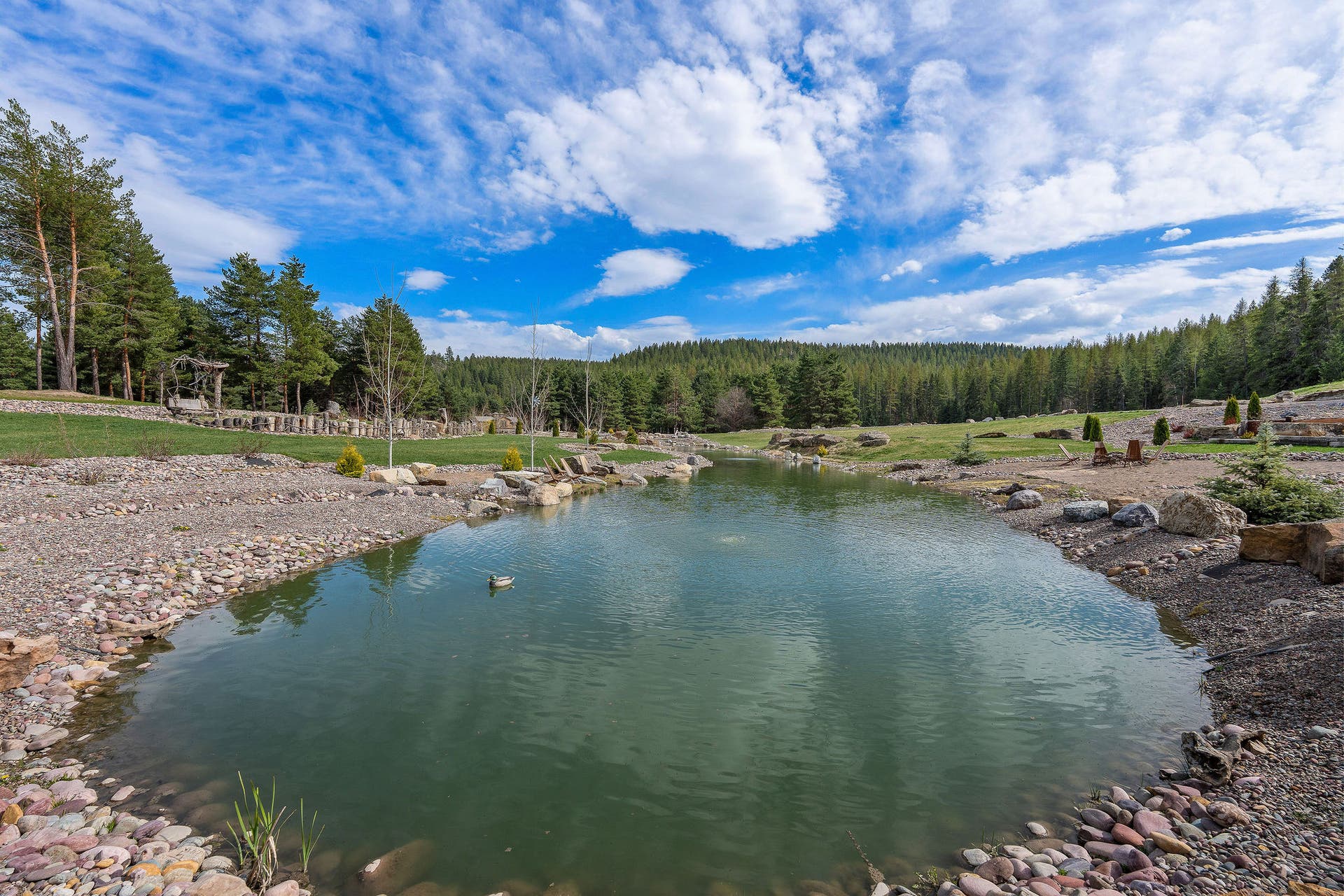 310 Rocky Woods Lane, Bigfork, MT 59911 Hybrid gold-koi fish and saved turtles from original mudhole