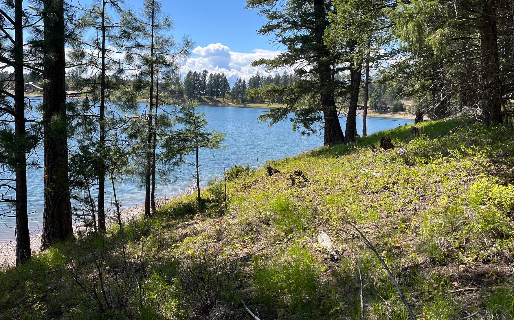 716 Echo Lake Road, Bigfork, MT 59911 716 Echo Lake Road, Bigfork, MT 59911