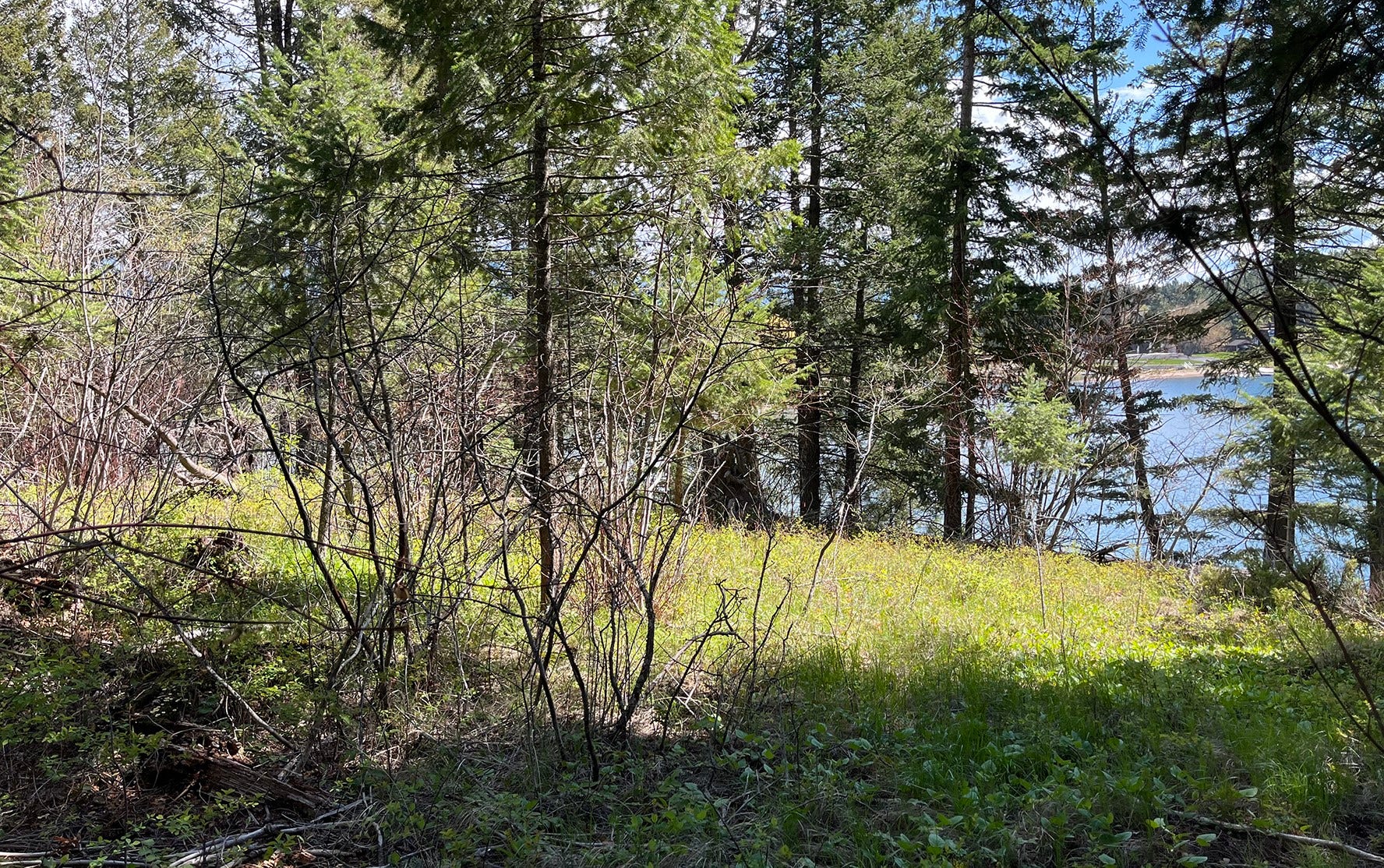 716 Echo Lake Road, Bigfork, MT 59911 716 Echo Lake Road, Bigfork, MT 59911