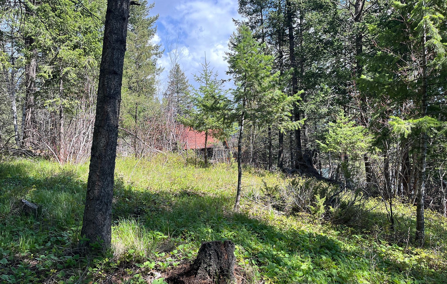 716 Echo Lake Road, Bigfork, MT 59911 716 Echo Lake Road, Bigfork, MT 59911