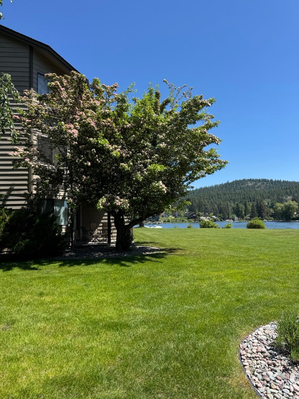 Expansive lawn with mature trees, stone landscaping, and waterfront access