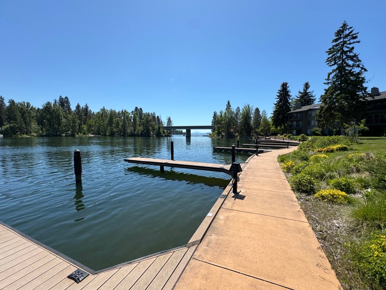 Waterfront property featuring private docks, a concrete pathway, mature landscaping, and surrounding evergreen trees
