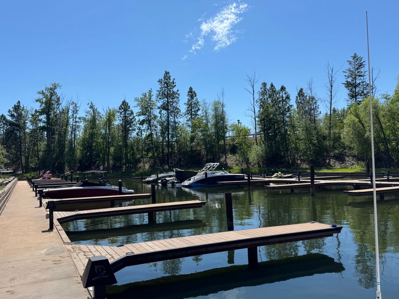 Marina with multiple boat slips, concrete walkway, and surrounding mature trees