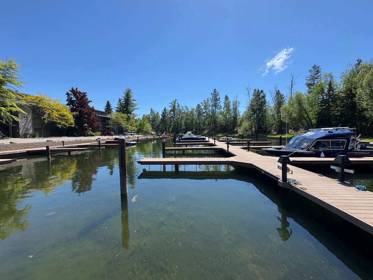 Expansive marina featuring multiple boat slips and a clear waterway