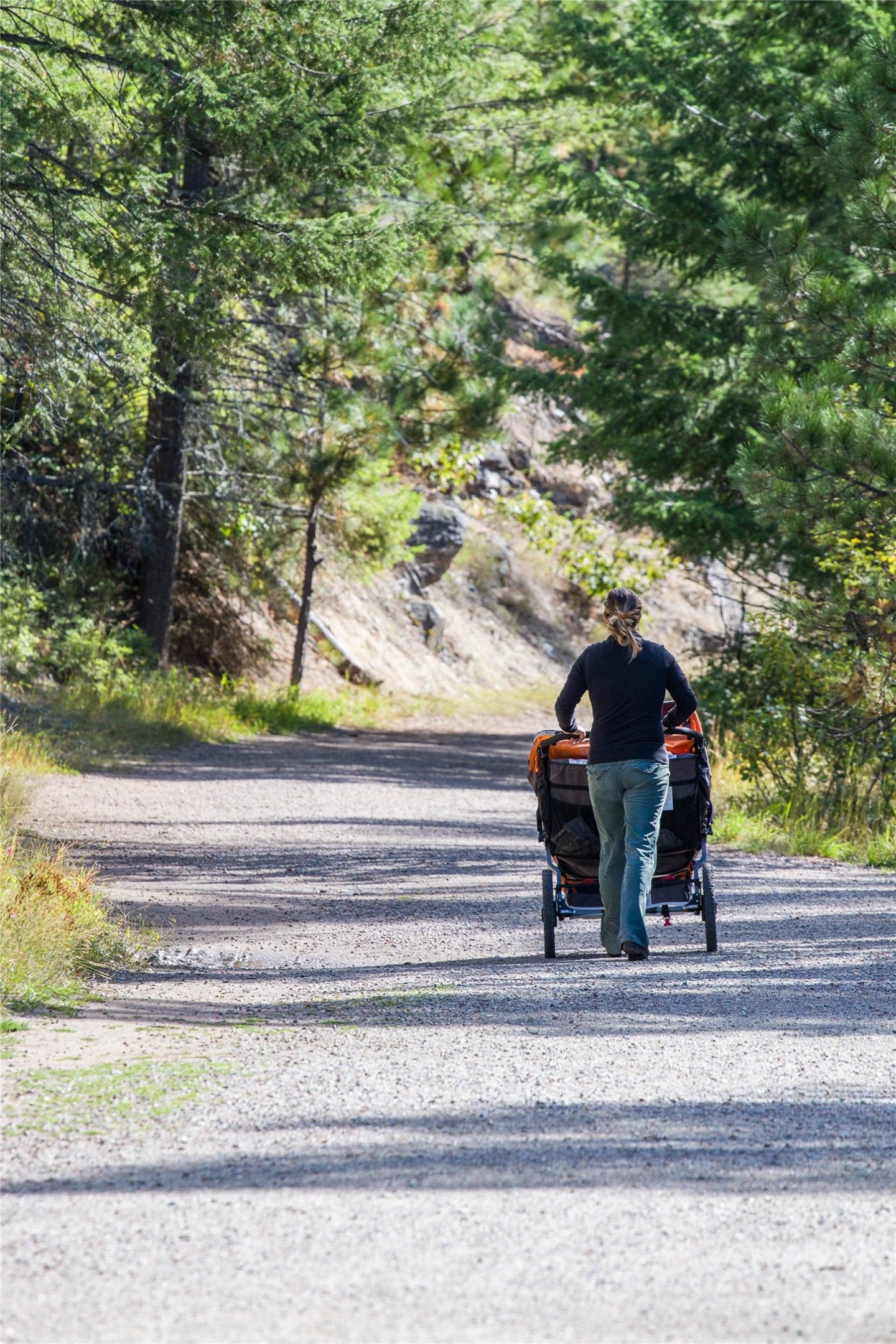 425 Grand Drive, Bigfork, MT 59911 Wild Mile walking path next to the Swan River