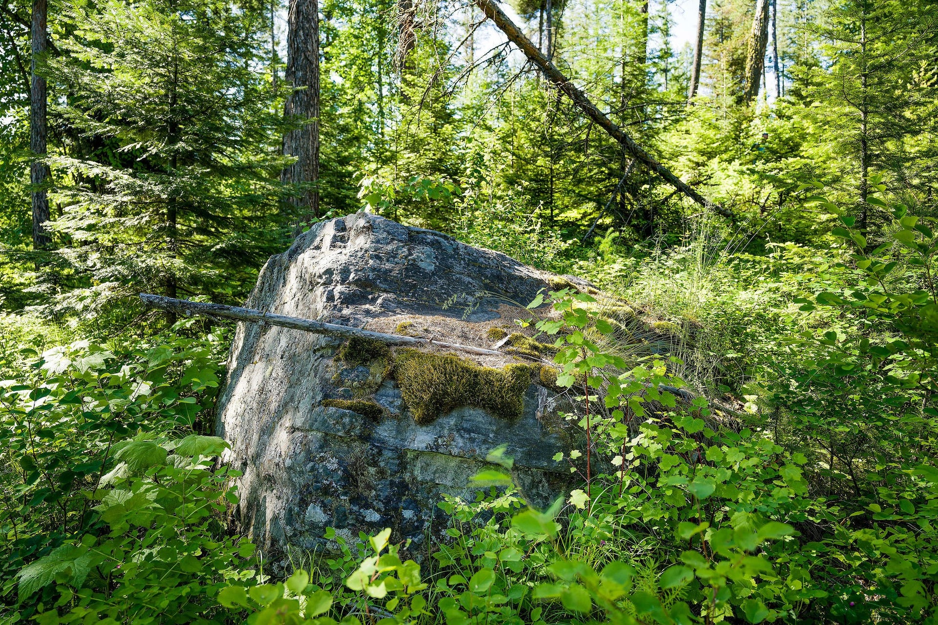 385 Saddlehorn Trail, Bigfork, MT 59911 385 Saddlehorn Trail Natural Stone Formations