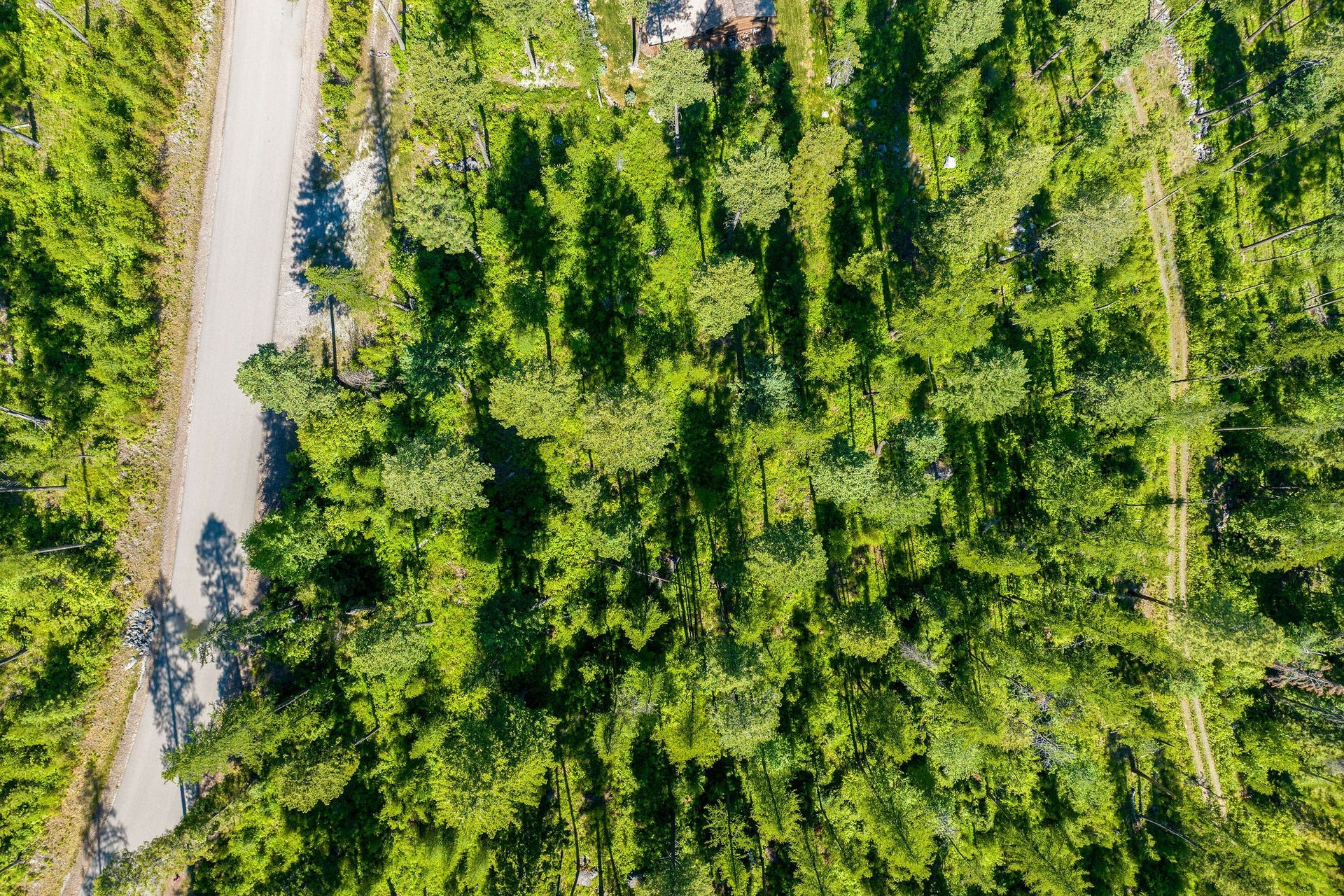 385 Saddlehorn Trail, Bigfork, MT 59911 385 Saddlehorn Trail Aerial