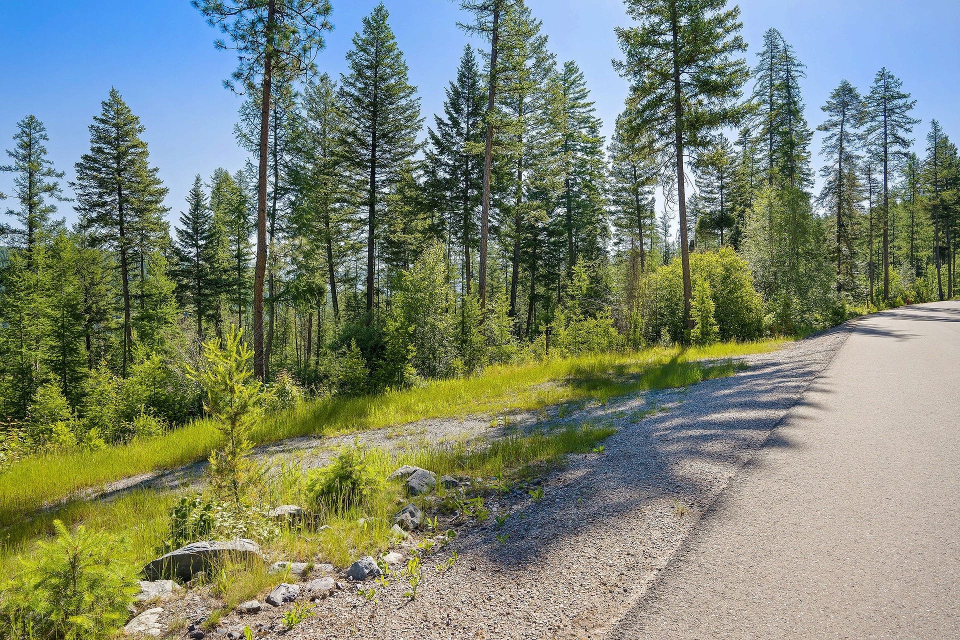 385 Saddlehorn Trail, Bigfork, MT 59911 385 Saddlehorn Trail