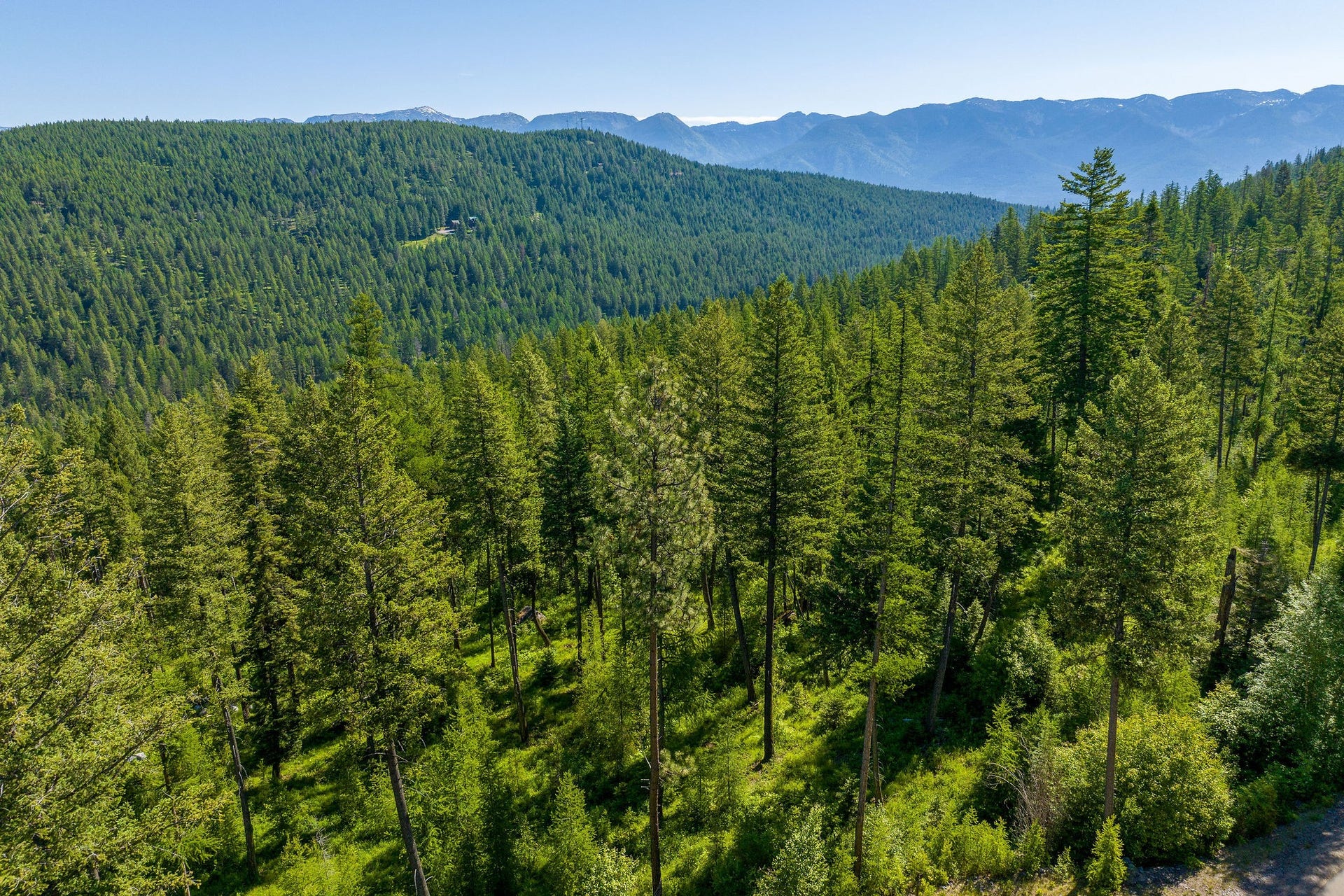 385 Saddlehorn Trail, Bigfork, MT 59911 385 Saddlehorn Trail Aerial