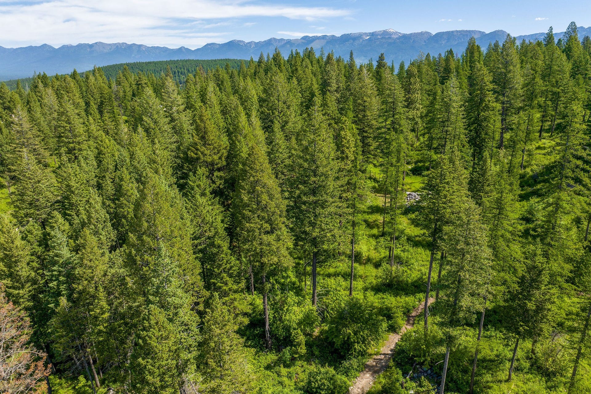 121 Pinto Trail, Bigfork, MT 59911 121 Pinto Trail Aerial to NE