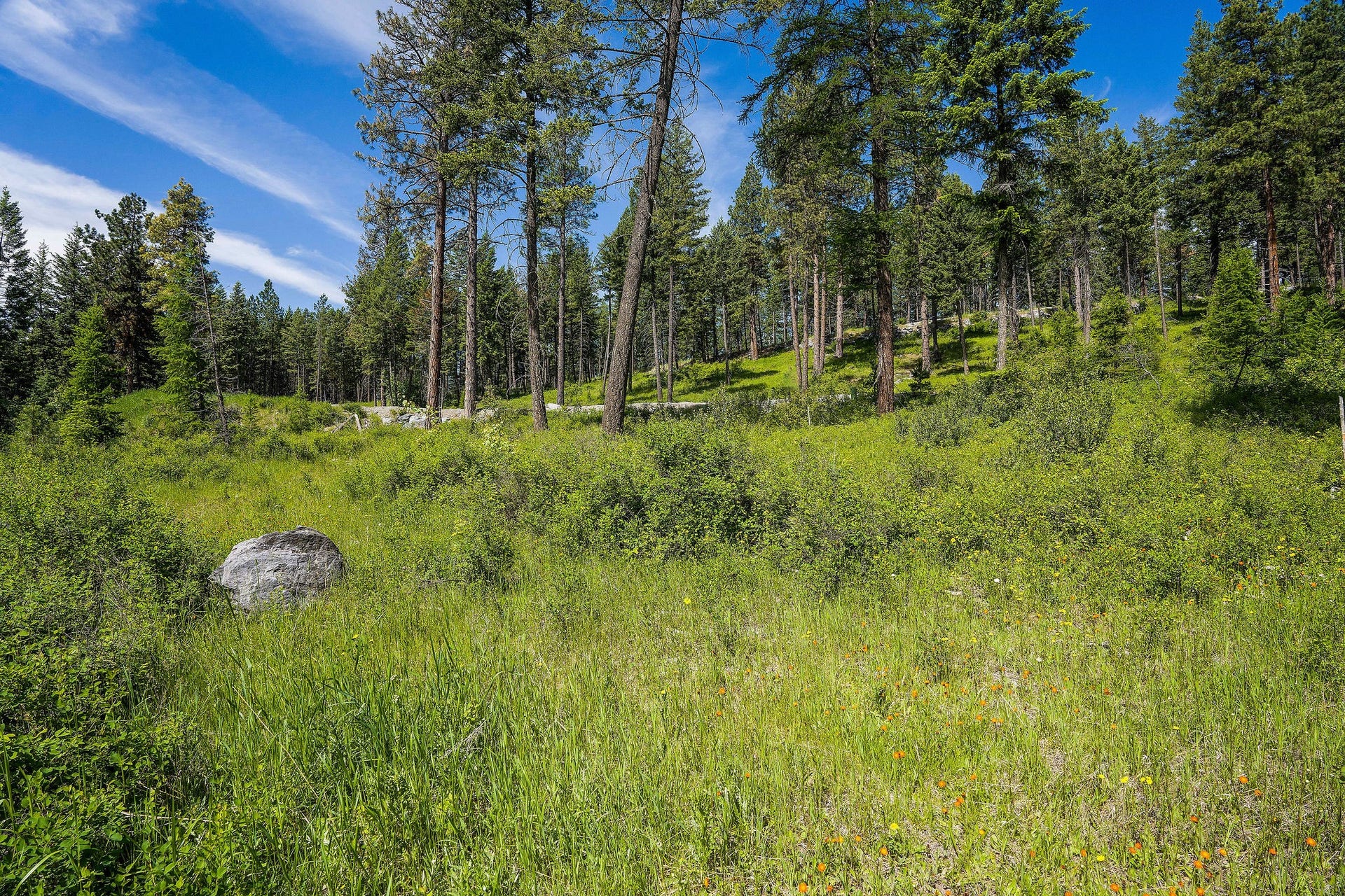 429 Chief Cliff Trail, Bigfork, MT 59911 429 Chief Cliff Trail
