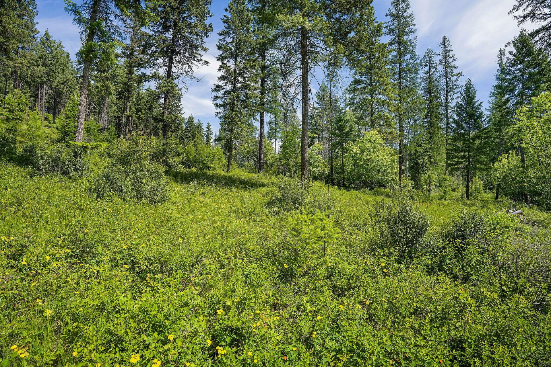 429 Chief Cliff Trail, Bigfork, MT 59911 429 Chief Cliff Trail