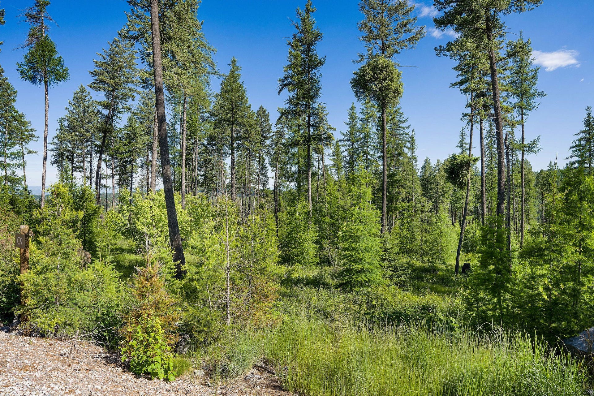198 Trading Post Trail, Bigfork, MT 59911 198 Trading Post Trail, Bigfork, MT 59911