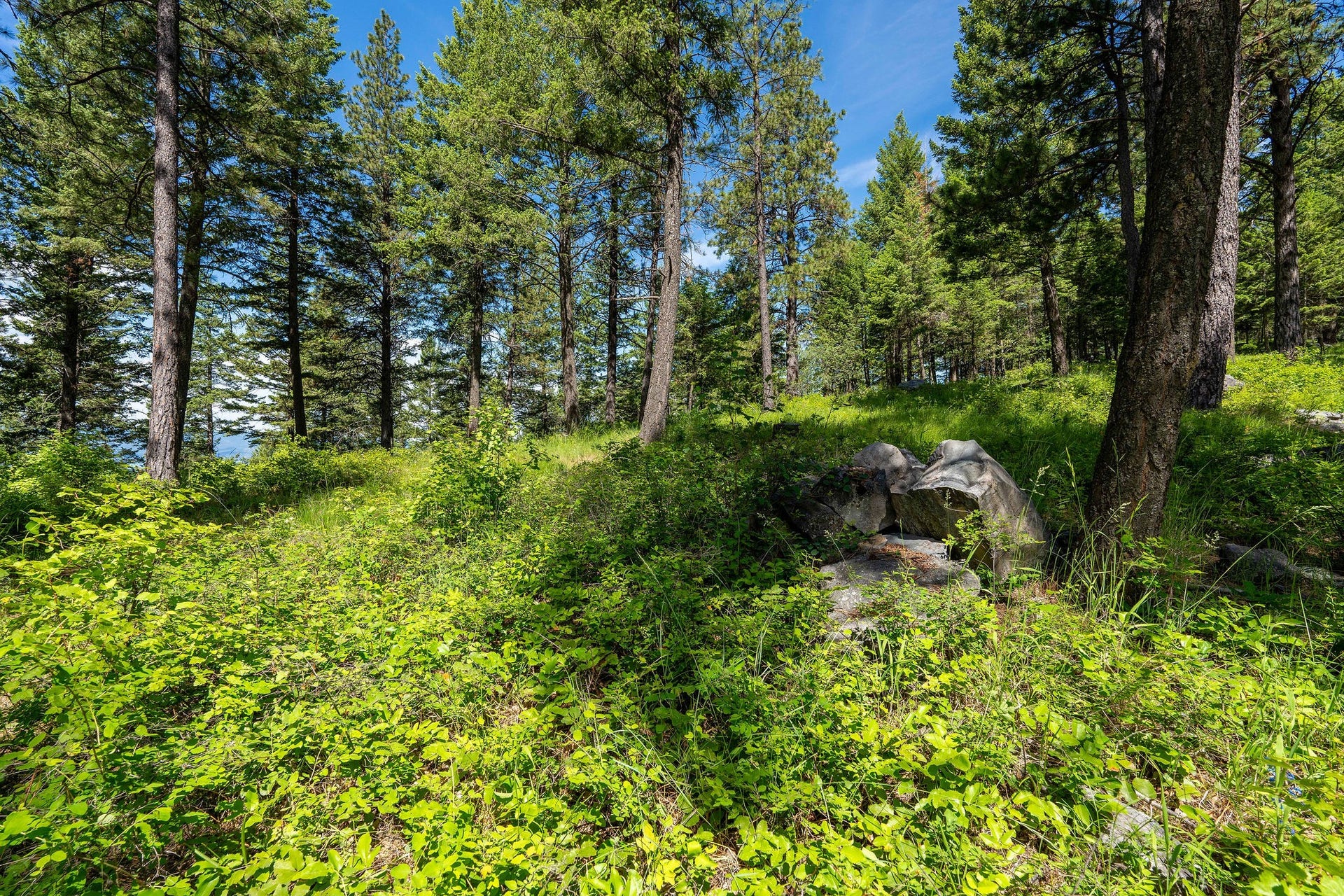 345 Chief Cliff Trail, Bigfork, MT 59911 345 Chief Cliff Trail, Bigfork, MT 59911