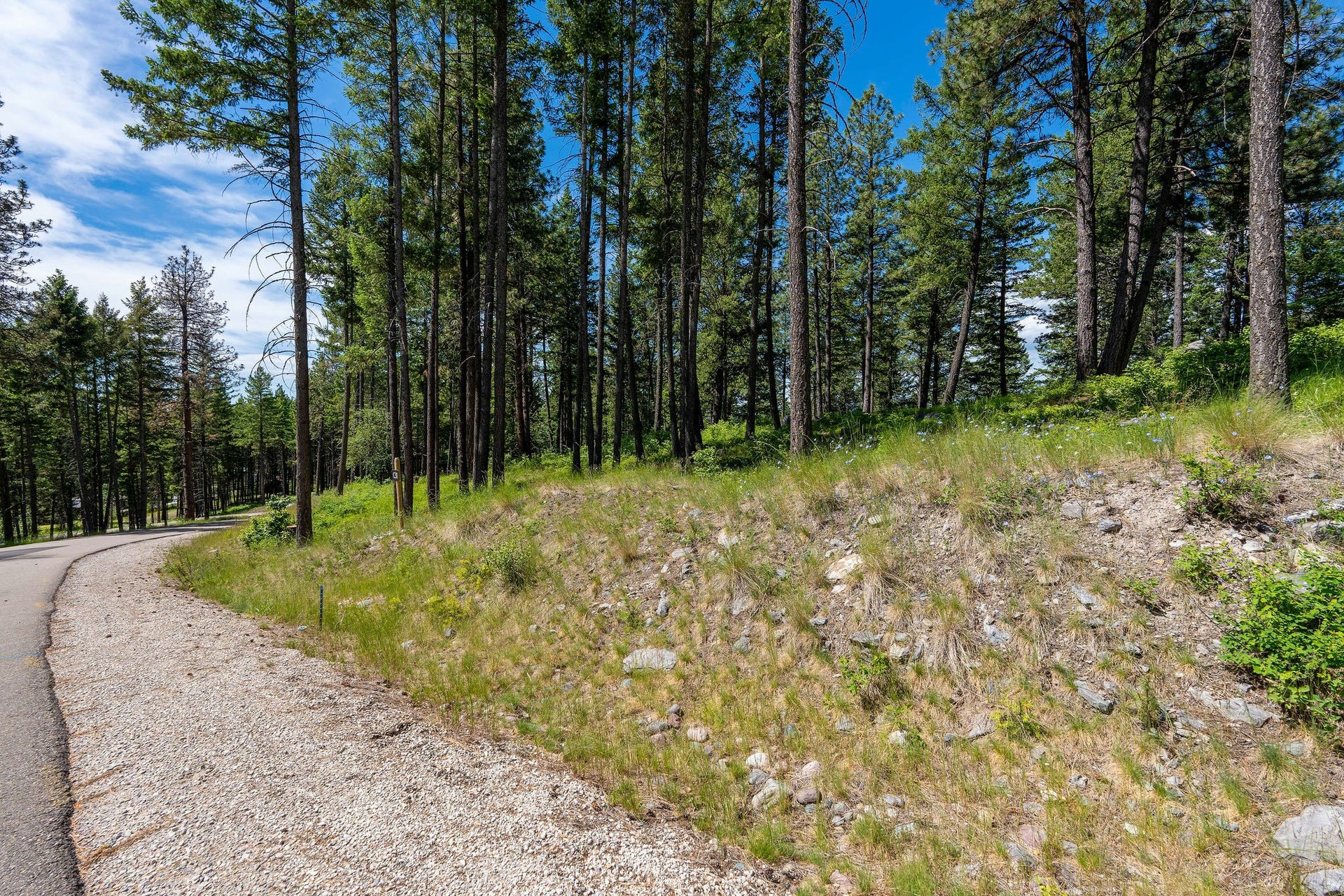 345 Chief Cliff Trail, Bigfork, MT 59911 345 Chief Cliff Trail, Bigfork, MT 59911