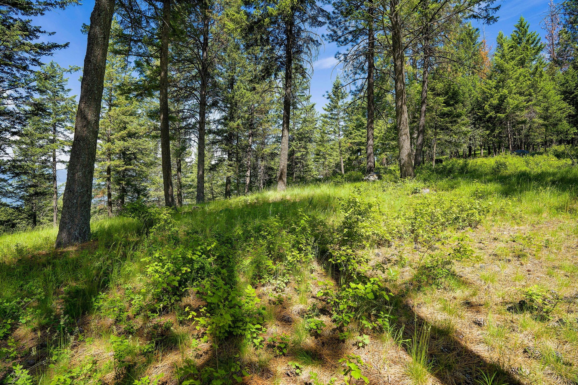 345 Chief Cliff Trail, Bigfork, MT 59911 345 Chief Cliff Trail, Bigfork, MT 59911